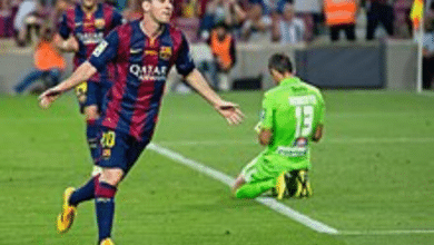 Messiturf 12
