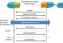 SMS Process